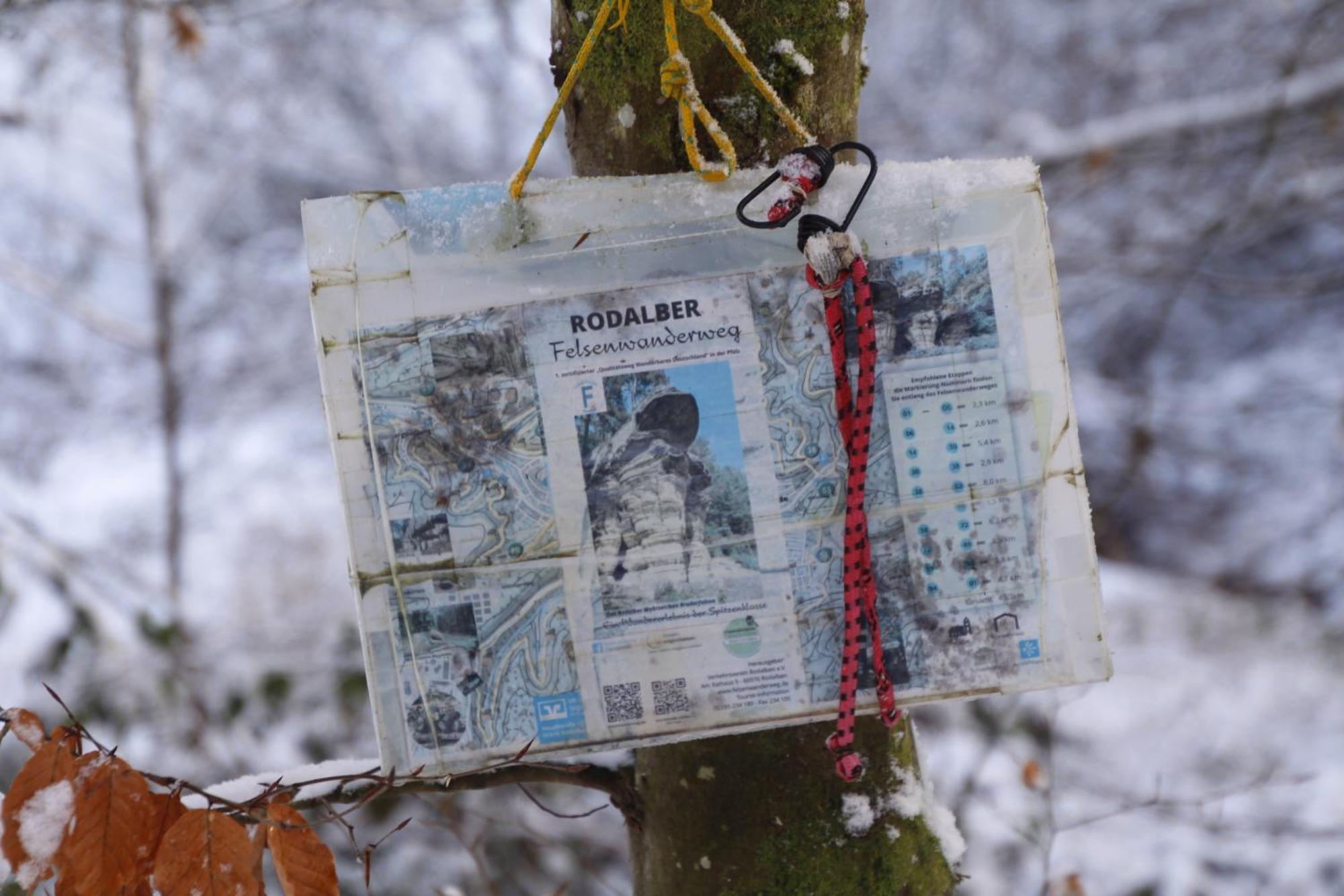 RodalbenFerienwohung Am Felsenwanderweg Im Pfaelzerwaldアパートメント エクステリア 写真