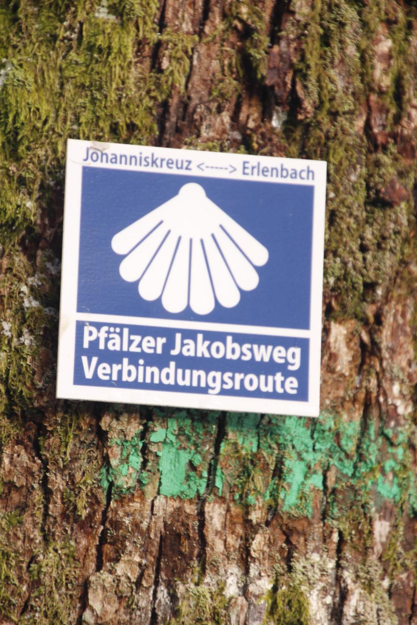 RodalbenFerienwohung Am Felsenwanderweg Im Pfaelzerwaldアパートメント エクステリア 写真
