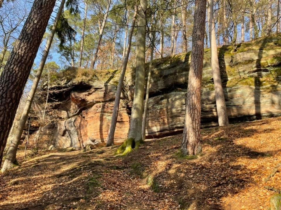 RodalbenFerienwohung Am Felsenwanderweg Im Pfaelzerwaldアパートメント エクステリア 写真